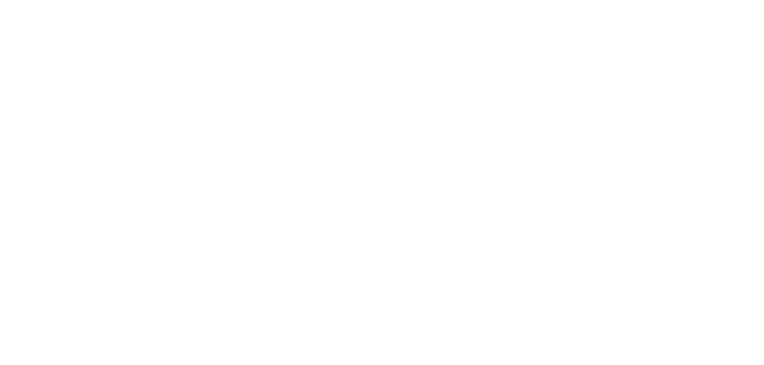 Boston Dream Group Logo